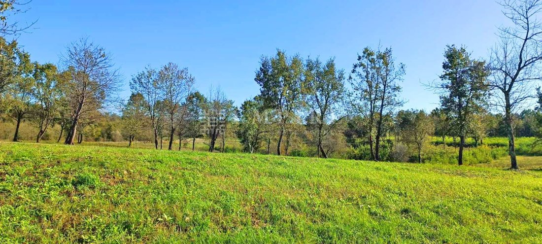 Land in Porec, Istria County, Croatia 2 - 13609116