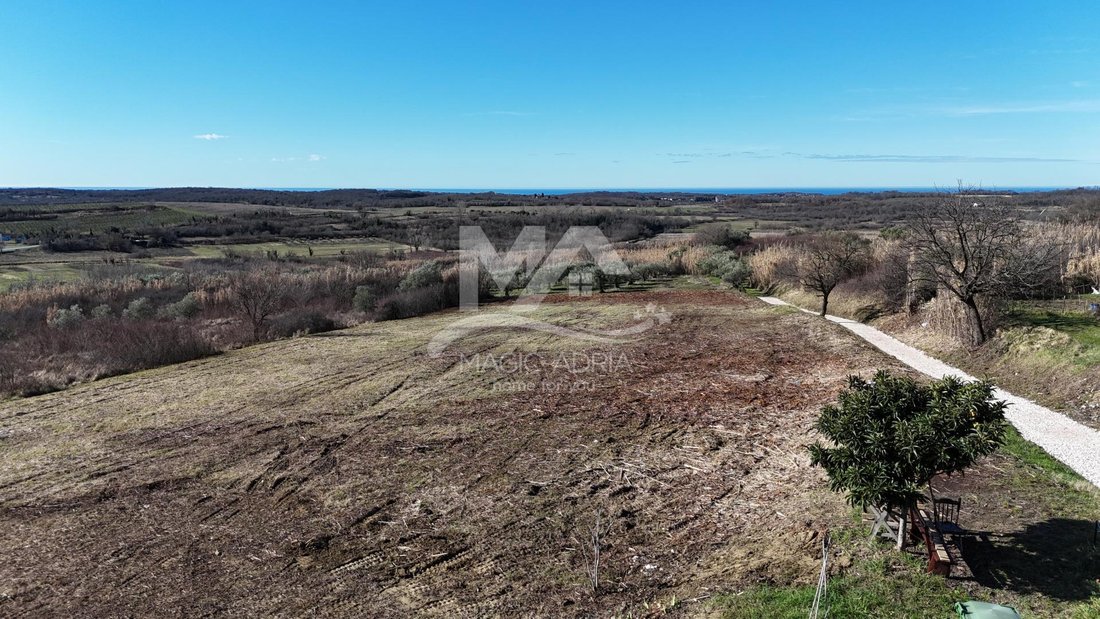 Terreno a Buie, Regione istriana, Croazia 1 - 14143135