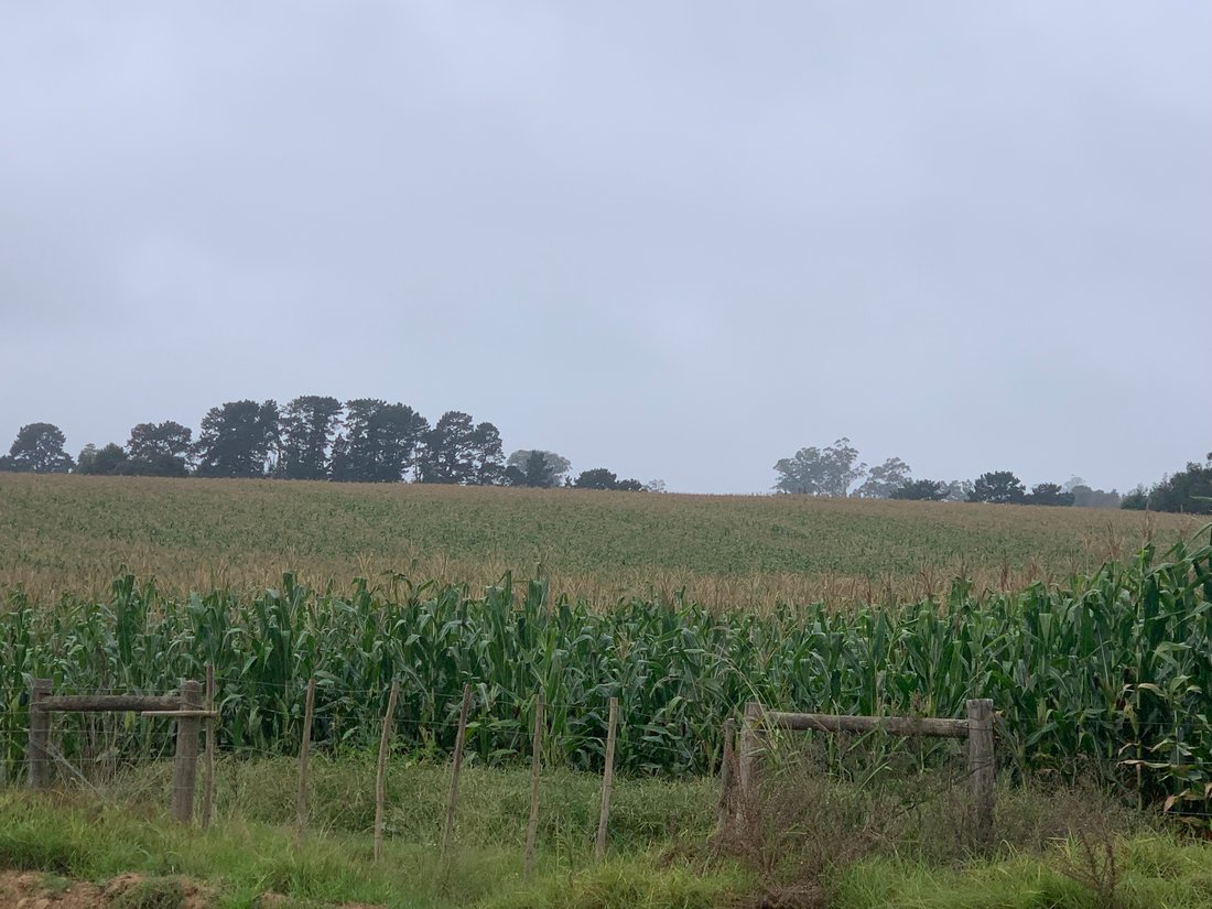 Farm Ranch in Rheenendal, Western Cape, South Africa 5 - 15290826