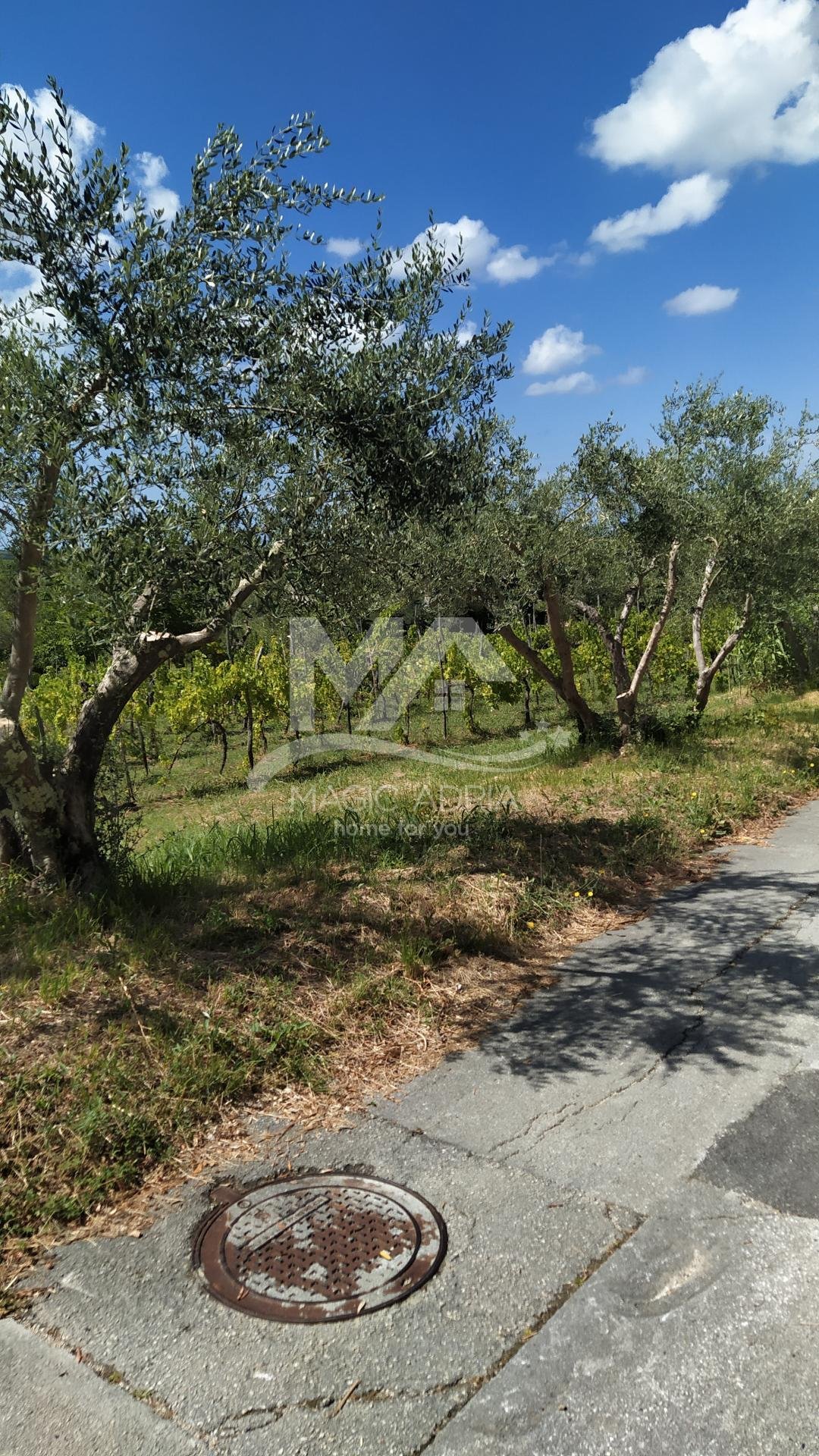 Terreno a Buie, Regione istriana, Croazia 4 - 14143135