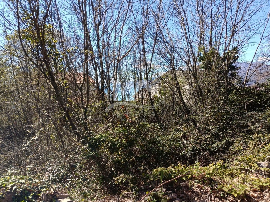 Land in Mjesni odbor Kastav, Grad Kastav, Primorje-Gorski Kotar County 1 - 15102892