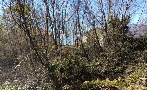 Terrain à Mjesni odbor Kastav, Grad Kastav, Primorje-Gorski Kotar 1