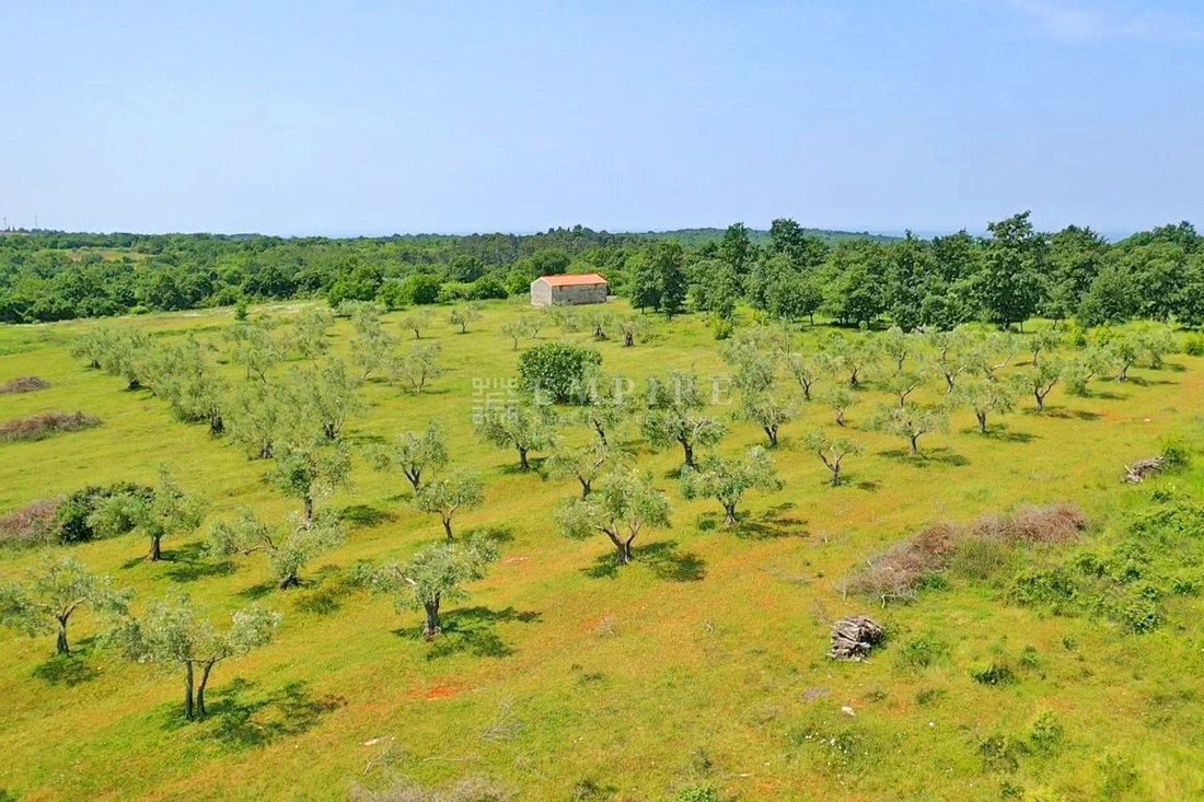 Land in Porec, Istria County, Croatia 1 - 15102870
