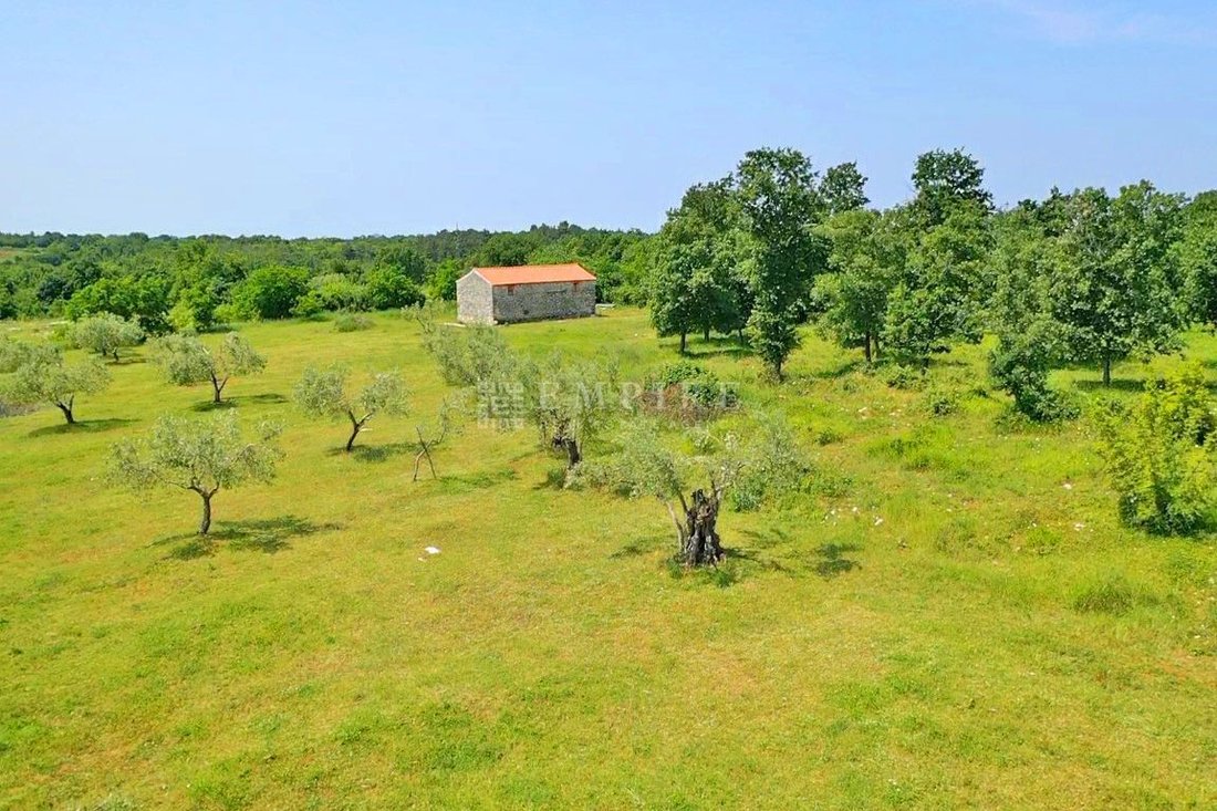 Land in Porec, Istria County, Croatia 3 - 15102870
