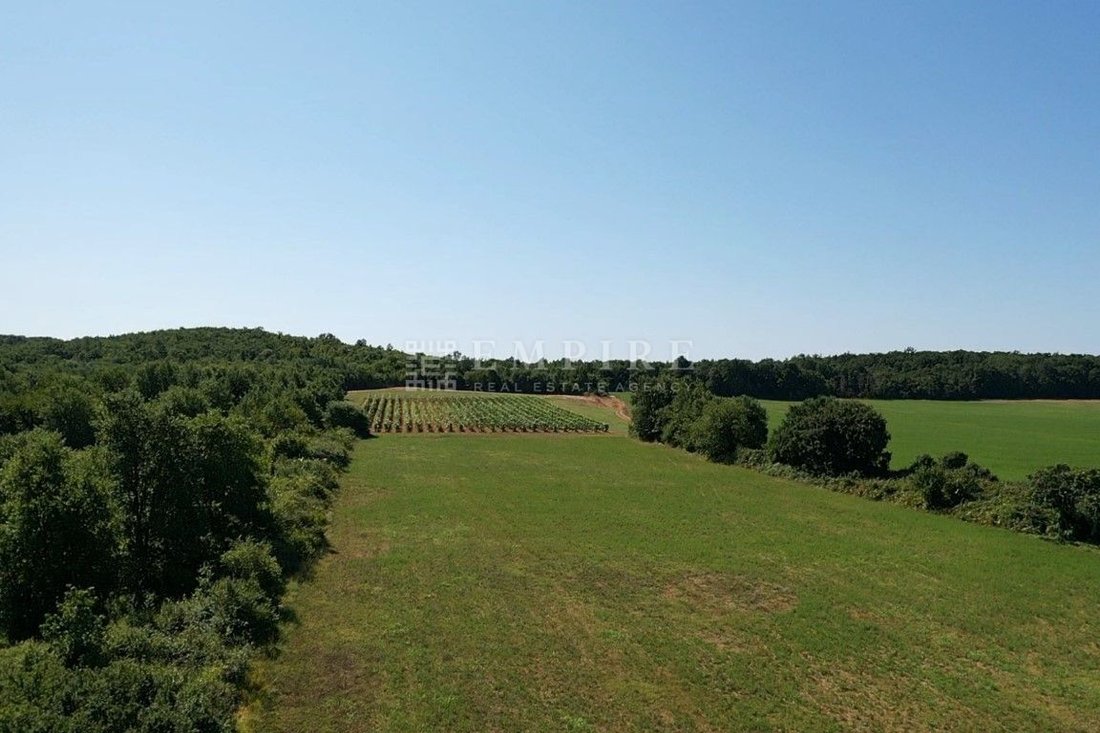 Land in Porec, Istria County, Croatia 5 - 15102760