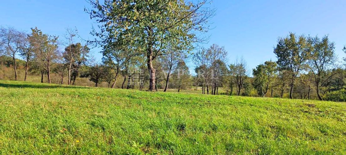 Land in Porec, Istria County, Croatia 4 - 13609116