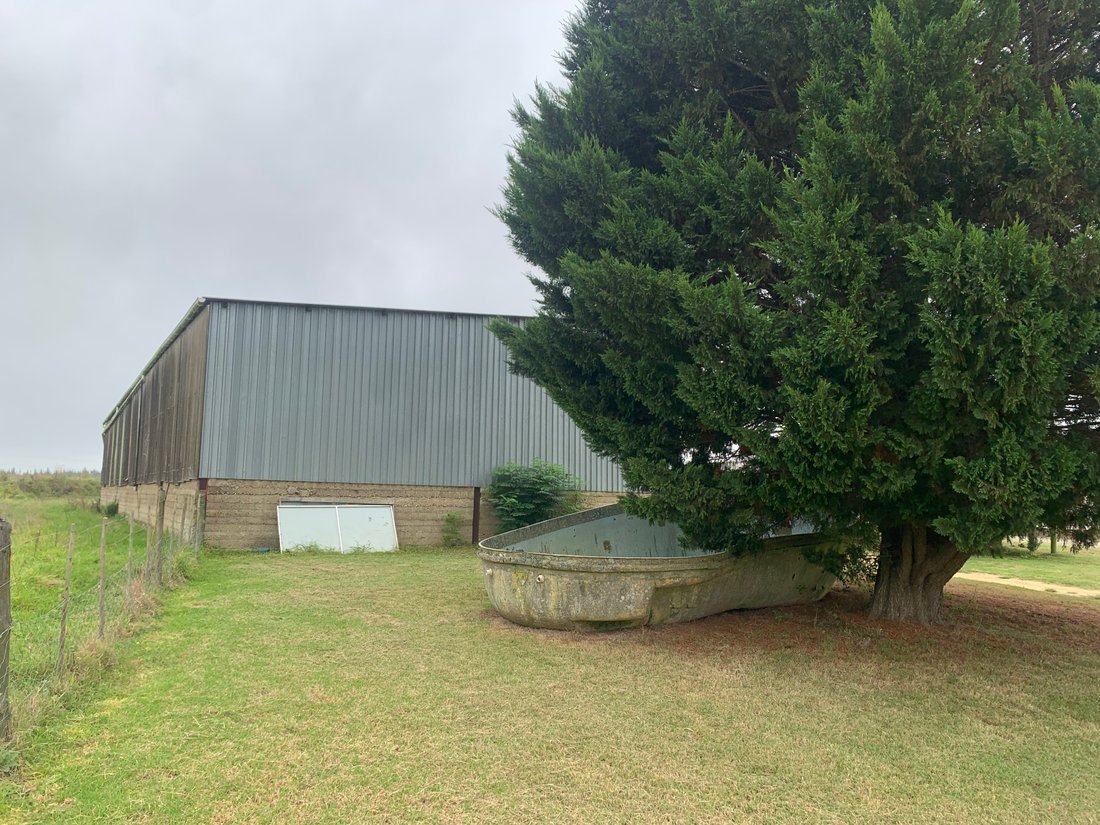 Farm Ranch in Rheenendal, Western Cape, South Africa 3 - 15290826