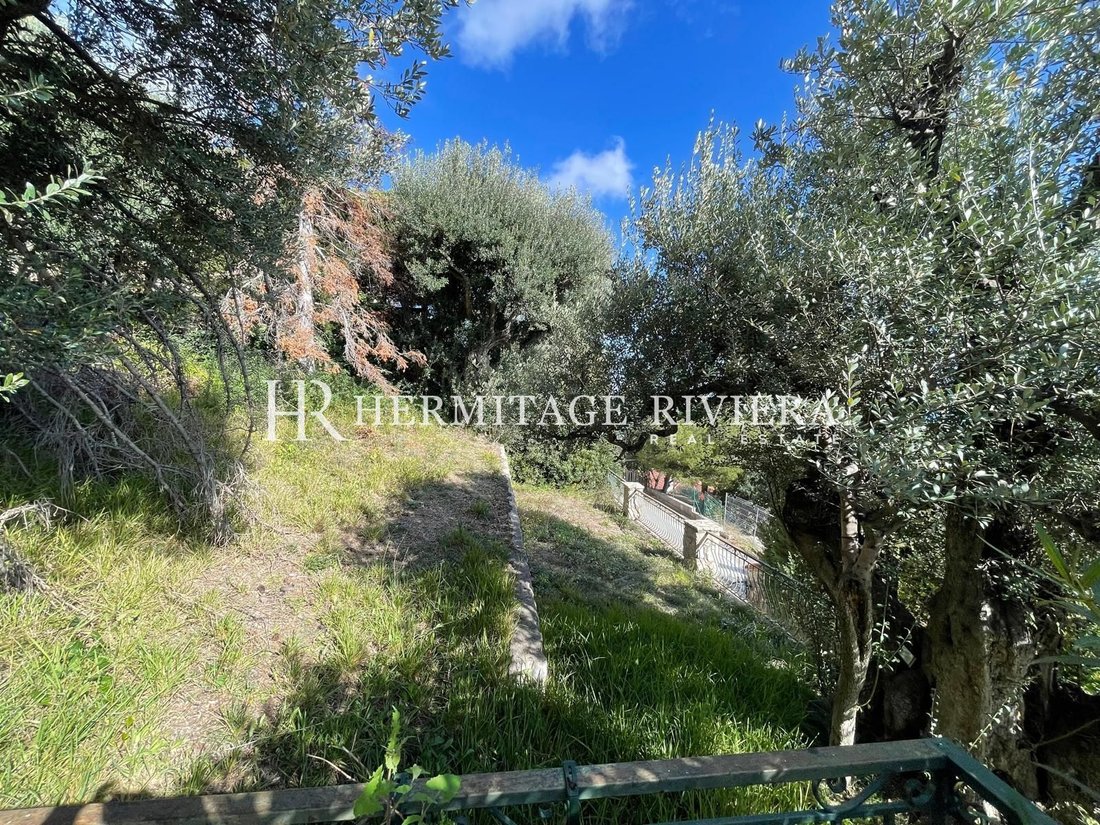 Villa in Village-Cros de Caste-Coupiere-Mont Gros, Roquebrune-Cap-Martin, France 2 - 15292668