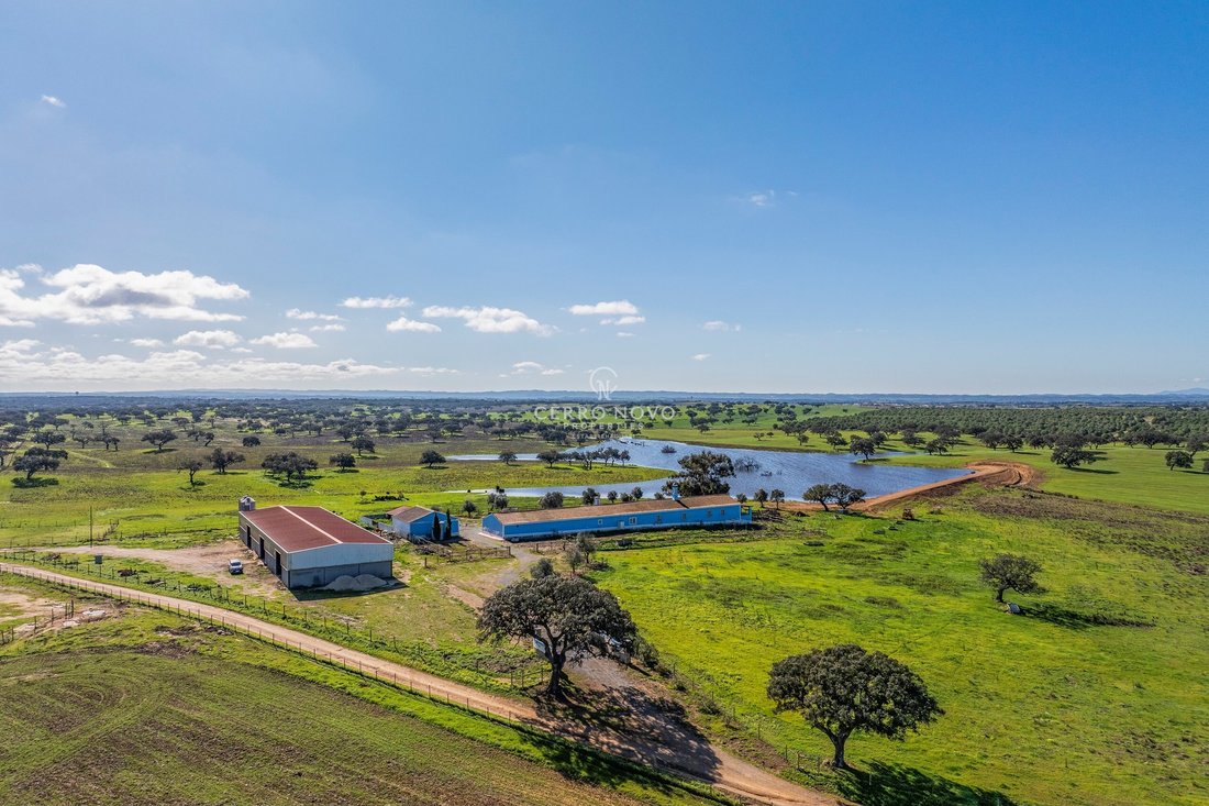 Farm Ranch in Ourique, Beja District, Portugal 1 - 15291913