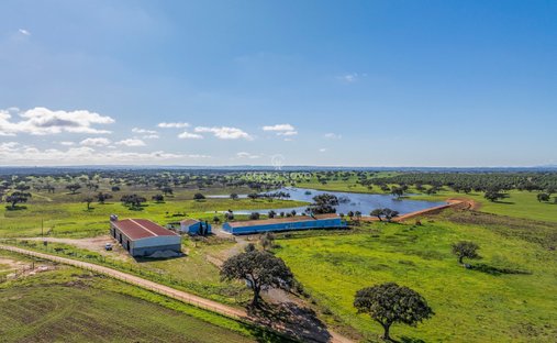 Farm Ranch in Ourique, Beja District, Portugal 1