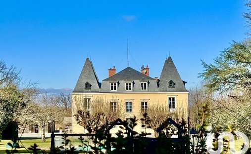 Castle for Sale in Châteauneuf-la-Forêt, Nouvelle-Aquitaine, France