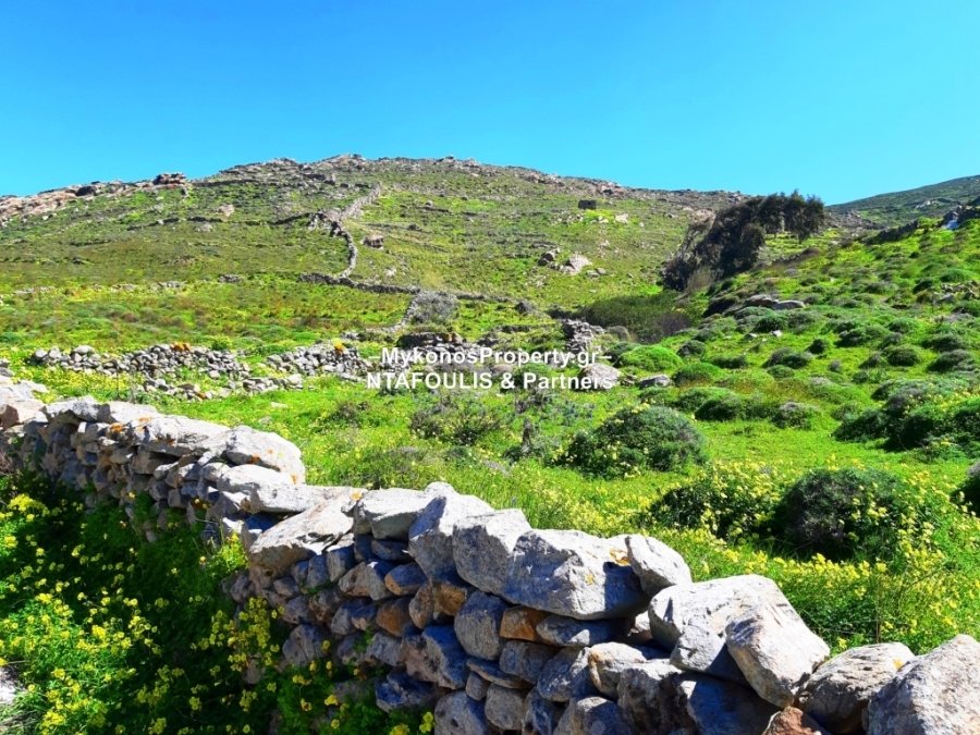 Ano Mera Community, Aegean, Greece 3 - 11553410