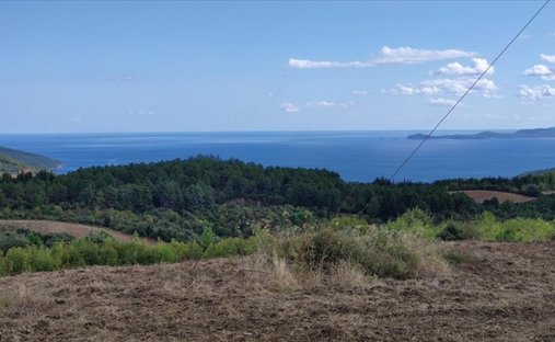 Land in Aristotle, Macedonia and Thrace, Greece 1