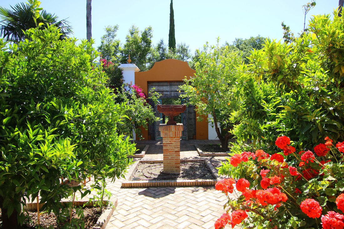 Estate in Gaucin, Andalusia, Spain 3 - 15291681
