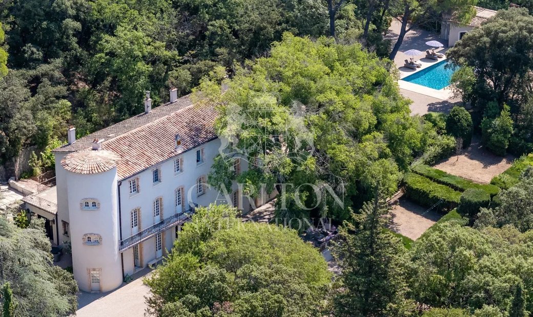 Chateau In Provence With Guest House And 13 Ha Land