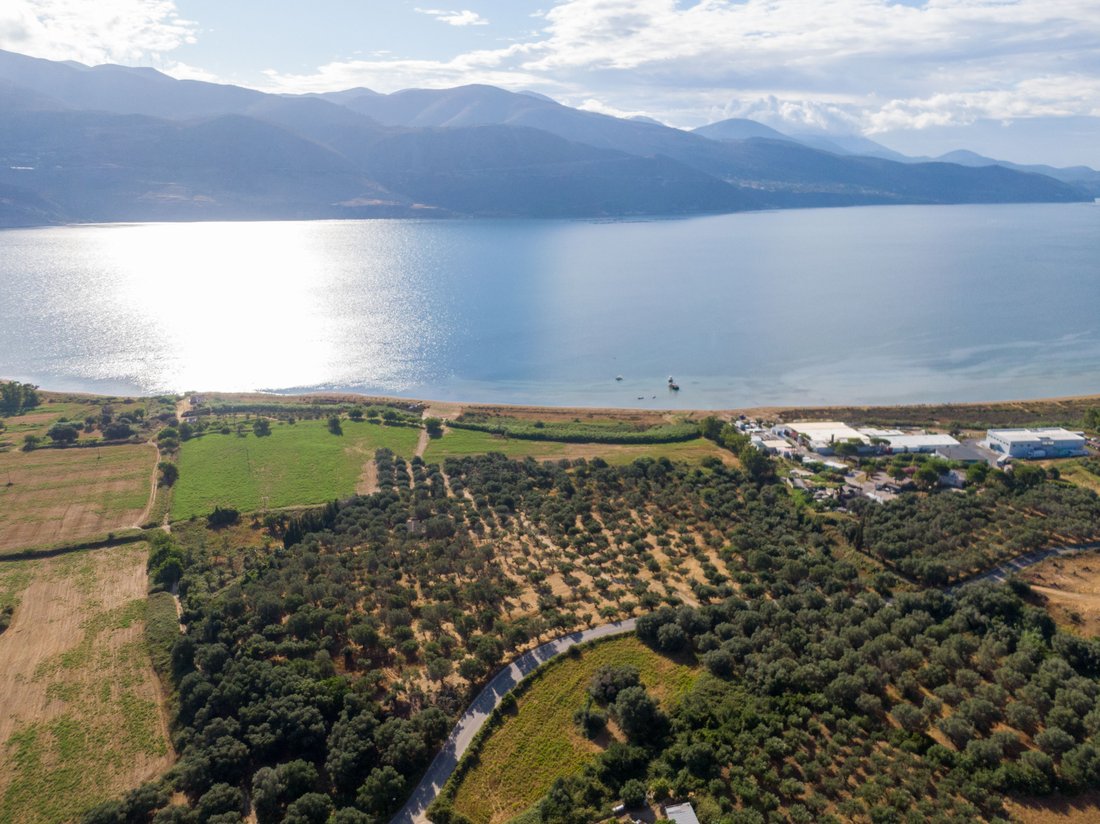 Terreno a Argostoli, Peloponnese, Western Greece and the Ionian, Grecia 1 - 15295650