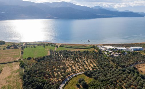 Land in Argostoli, Peloponnese, Western Greece and the Ionian, Greece 1