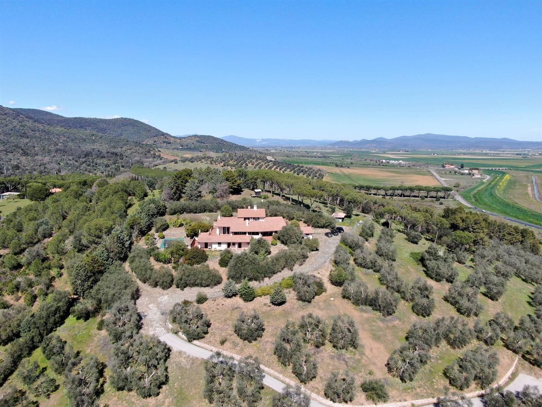 Villa in Center, Grosseto, Tuscany 2 - 15295801