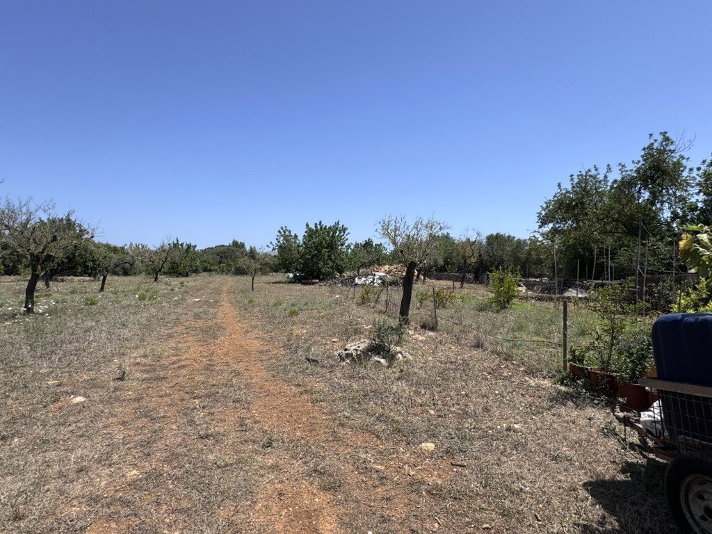 Land in Pollenca, Balearic Islands, Spain 1 - 15296607
