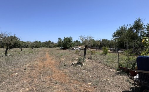 Land in Pollenca, Balearic Islands, Spain 1