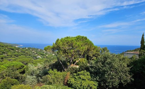 Land in Ramatuelle, Provence-Alpes-Côte d'Azur, France 1