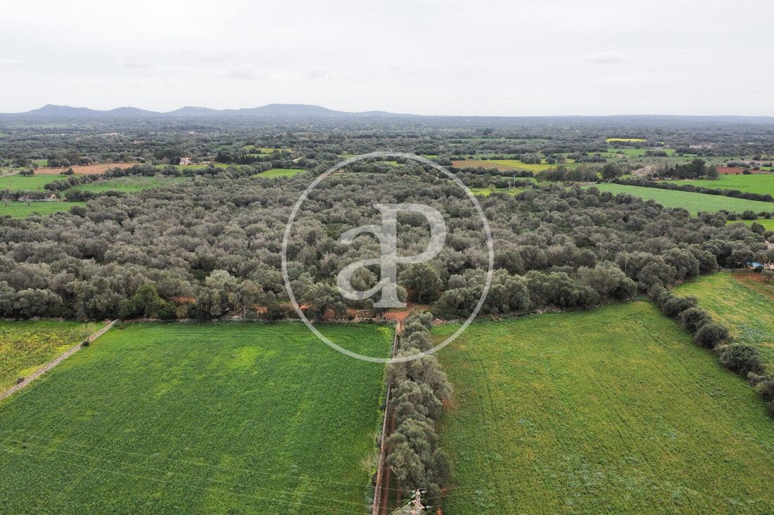 Land in Felanitx, Balearic Islands, Spain 1 - 15298115