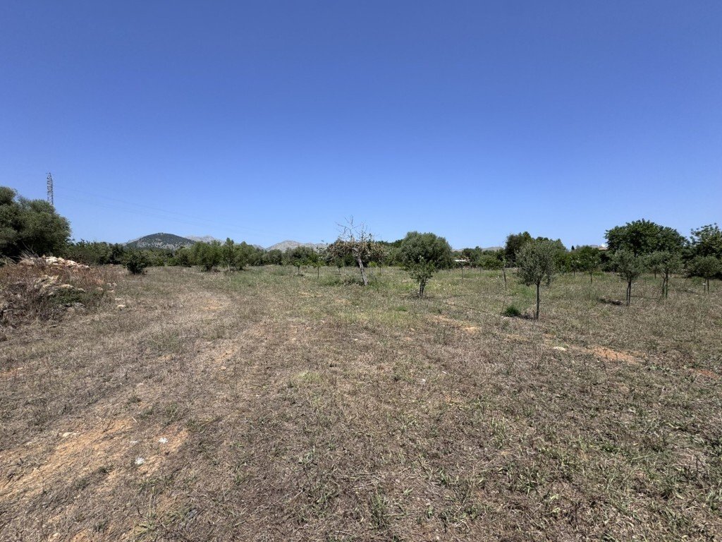 Land in Pollenca, Balearic Islands, Spain 5 - 15296607