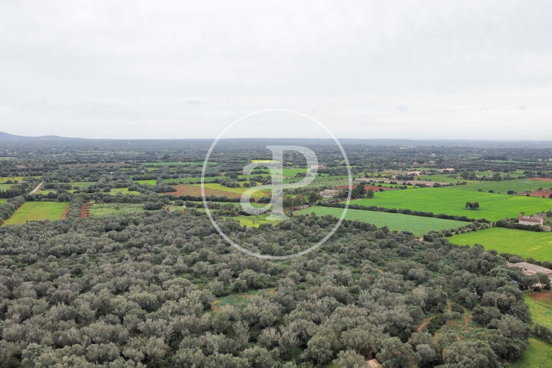 Land in Felanitx, Balearic Islands, Spain 5 - 15298115