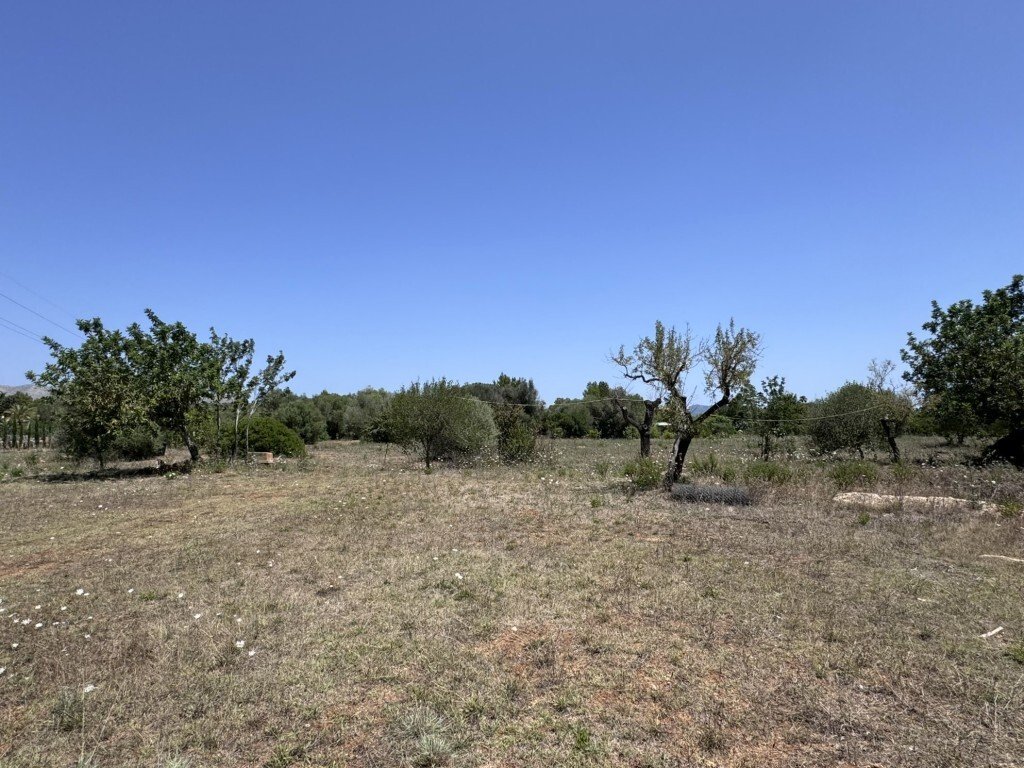 Land in Pollenca, Balearic Islands, Spain 3 - 15296607