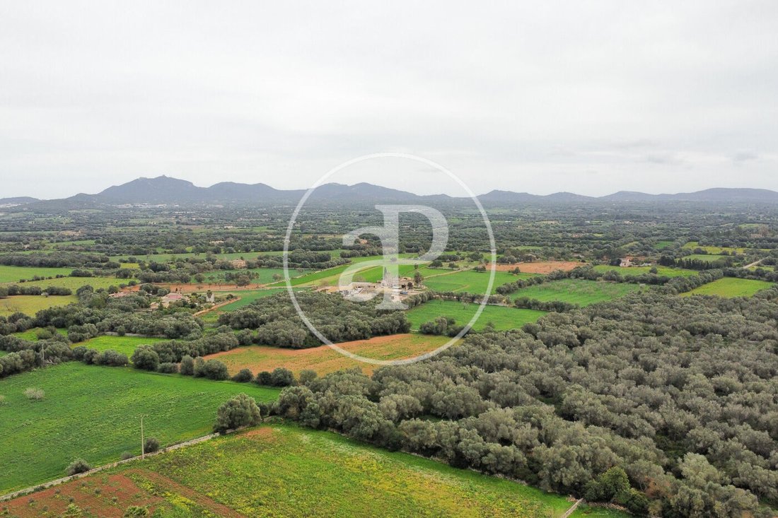 Land in Felanitx, Balearic Islands, Spain 3 - 15298115