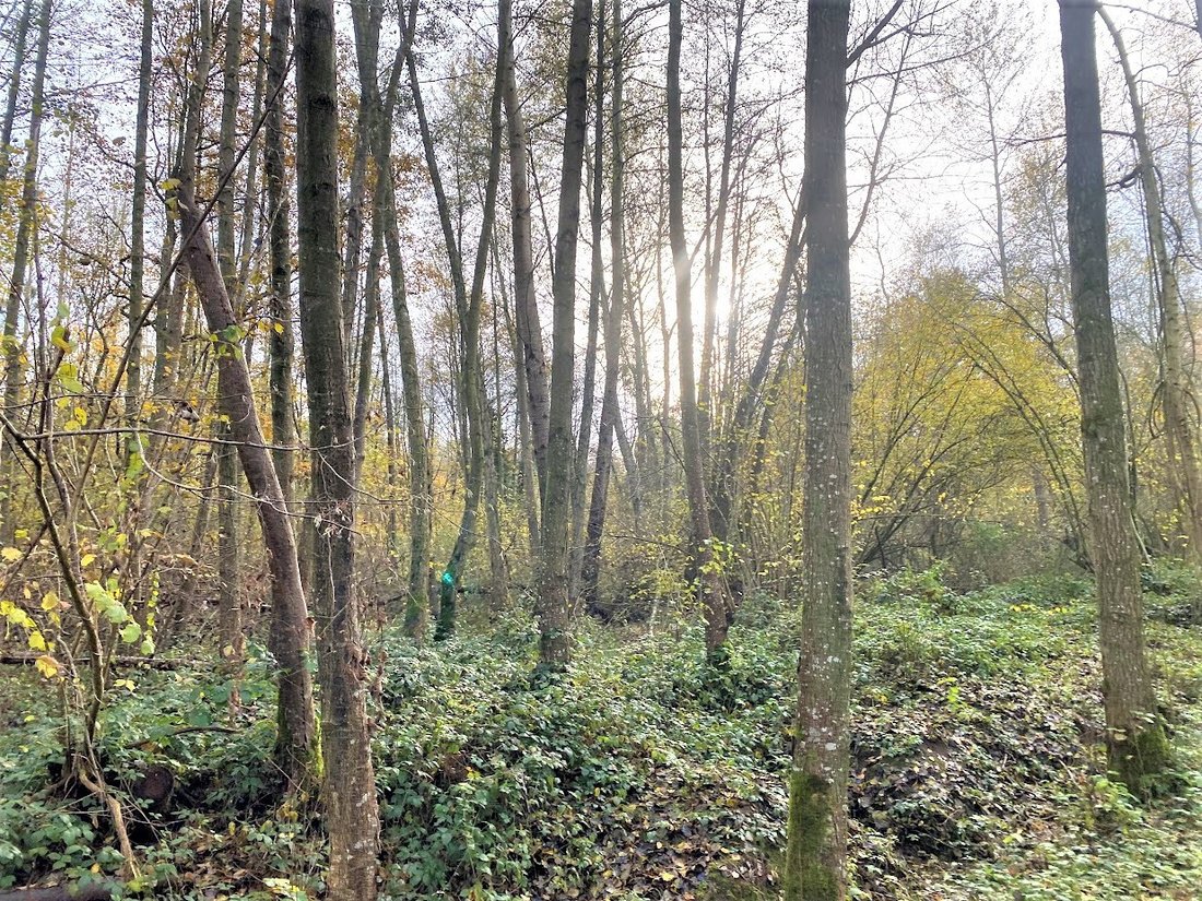Land in Laon, Hauts-de-France, France 3 - 14905621