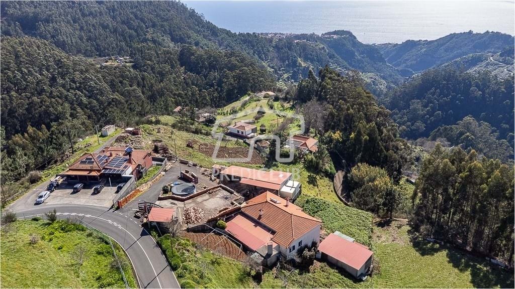 Farm Ranch in Camacha, Autonome Region Madeira, Portugal 5 - 15296342