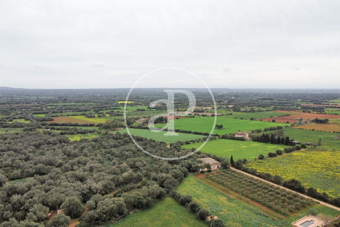 Land in Felanitx, Balearic Islands, Spain 4 - 15298115