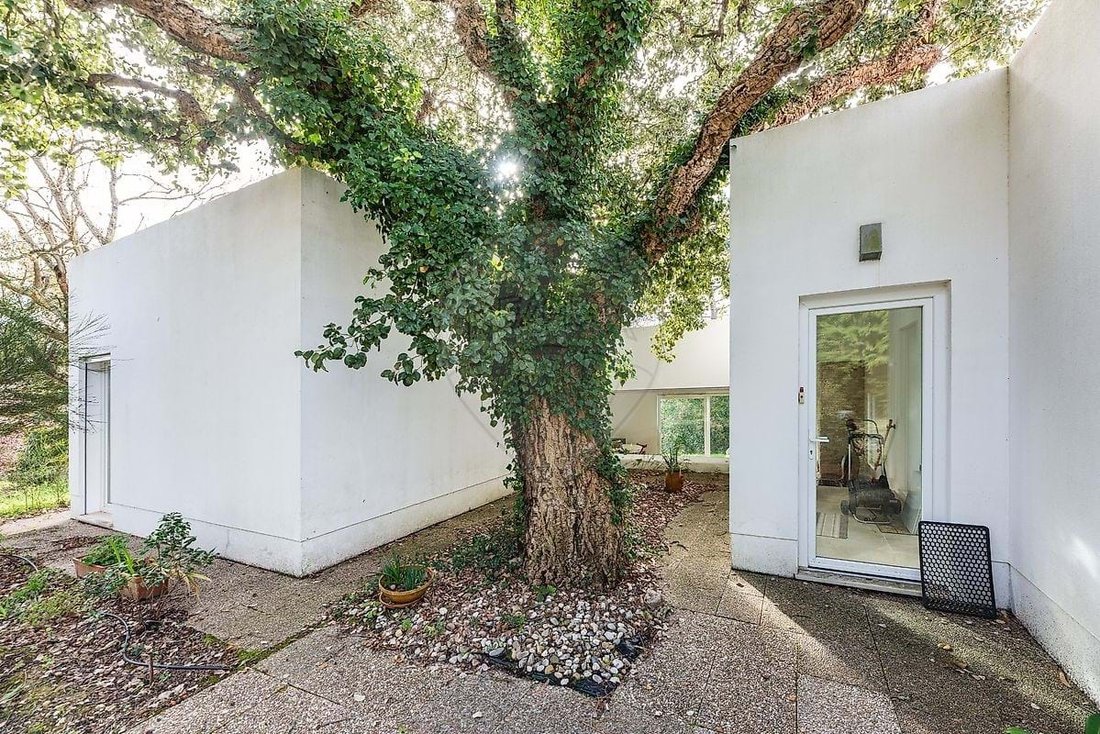 Villa in Óbidos, Leiria, Portugal 3 - 15301455