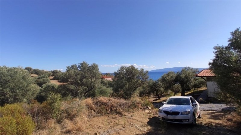 Land in Aristotle, Macedonia and Thrace, Greece 5 - 14524974