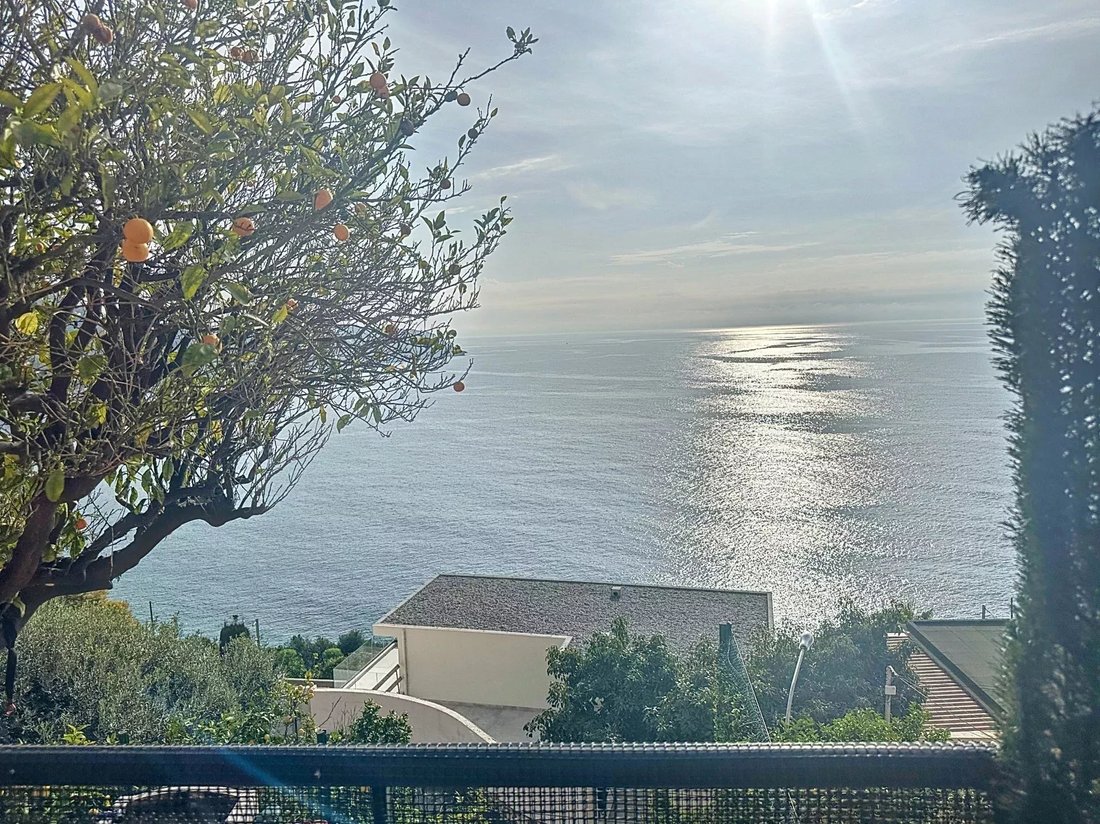 Apartment in Cabbe-Saint Roman, Roquebrune-Cap-Martin, France 1 - 15292112