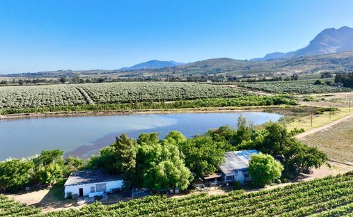 Luxury farm ranches with vineyard / winery for sale in Bertville, Paarl ...