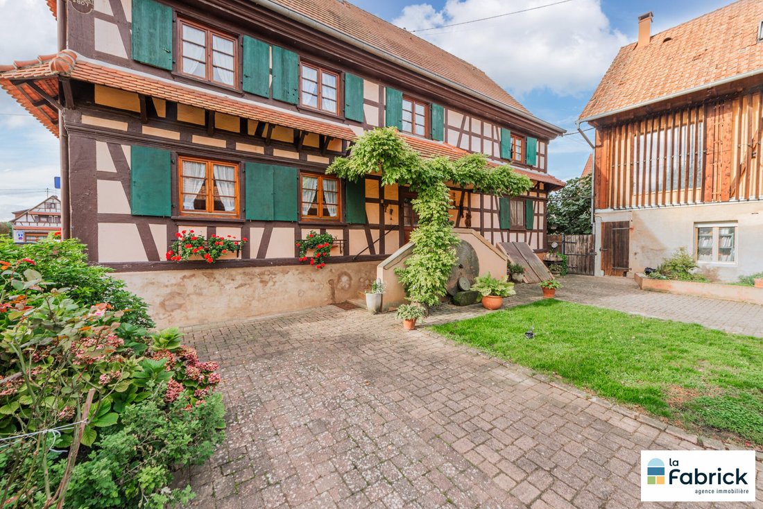 House in Plobsheim, Grand Est, France 1 - 15300969