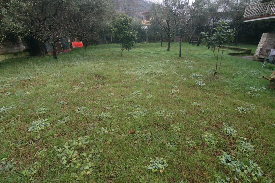 House in Stadium - Sant'Antonio - Marasio, Marina di Carrara, Tuscany 5 - 15298483
