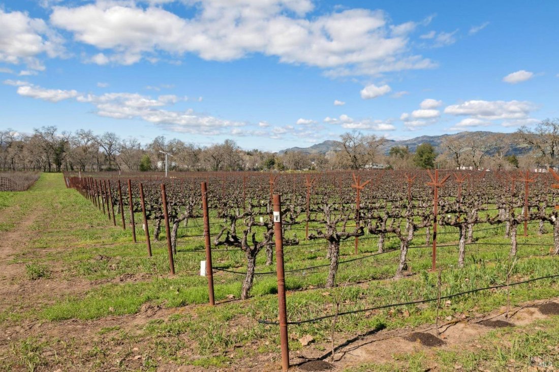 House in Napa, California, United States 4 - 15296420