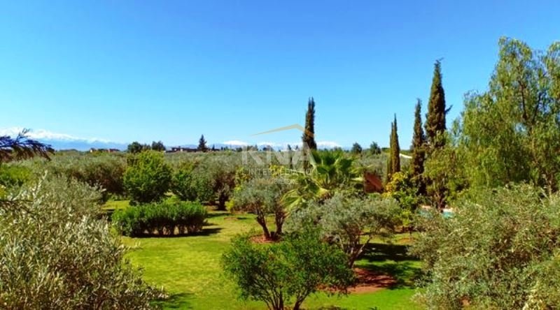 Villa in Marrakech, Marrakesh, Morocco 3 - 10775277