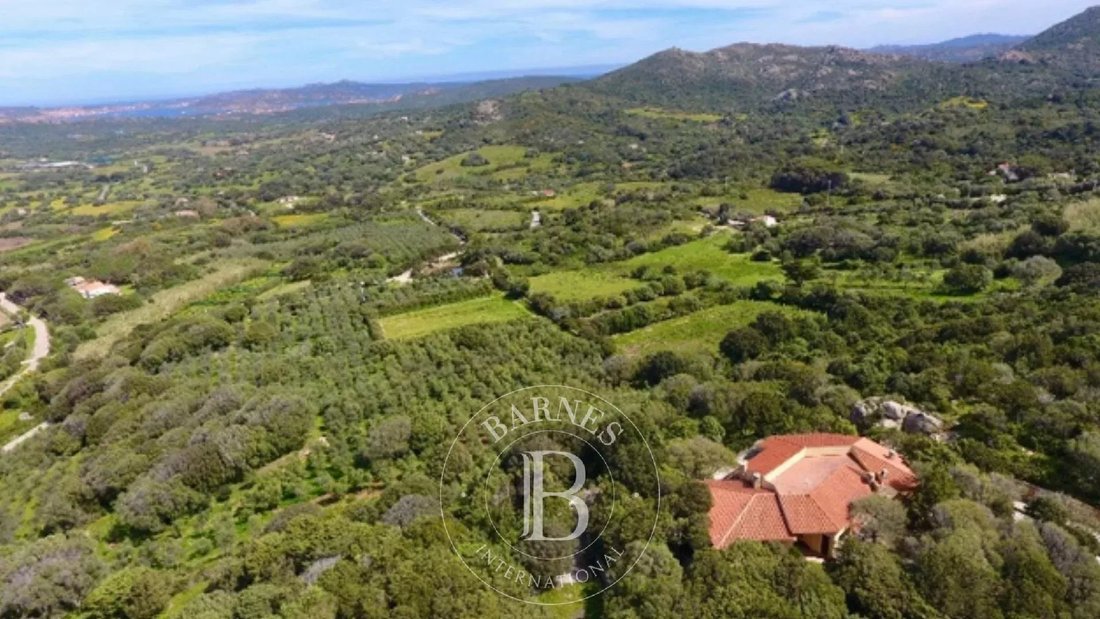 Villa in Palau, Sardinia, Italy 1 - 15298623