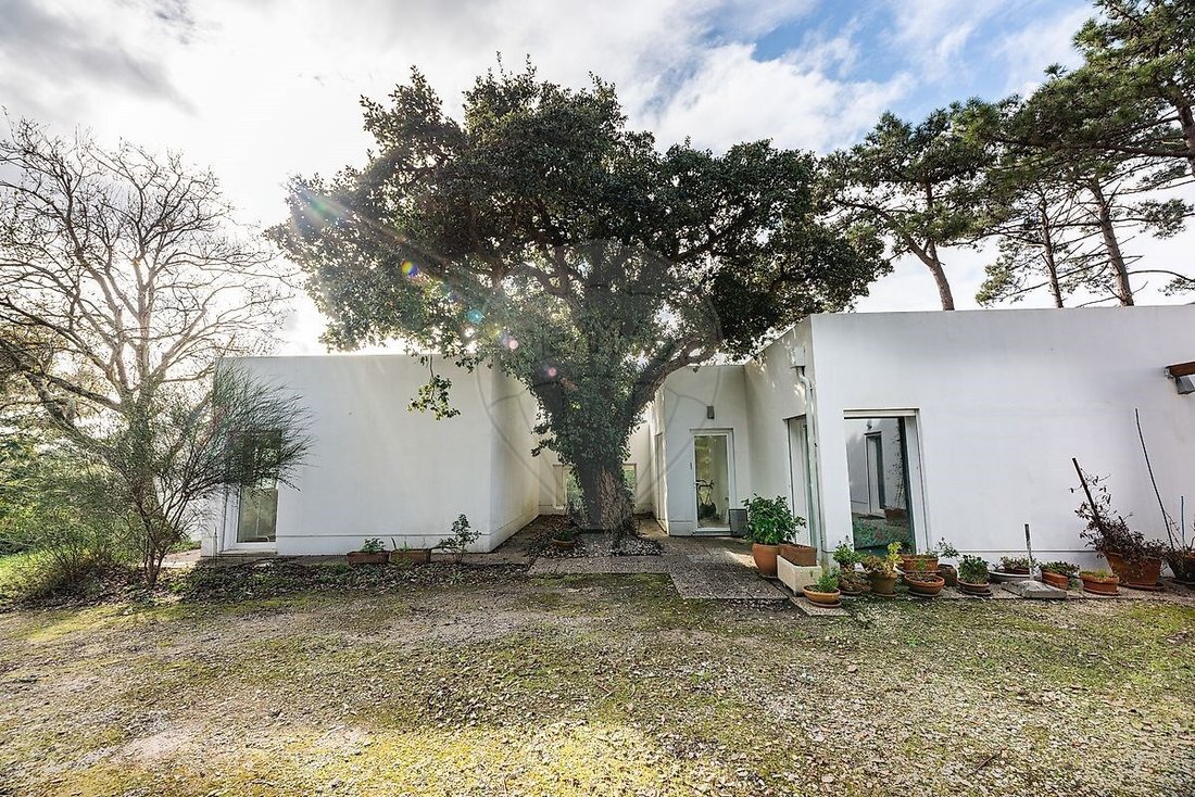 Villa in Óbidos, Leiria, Portugal 5 - 15301455