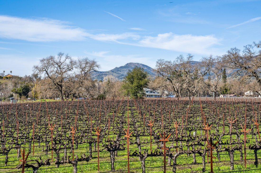 House in Napa, California, United States 1 - 15296420
