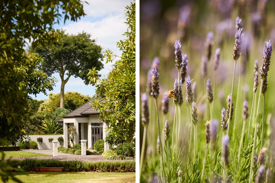 House in Katikati, Bay of Plenty, New Zealand 4 - 15296398