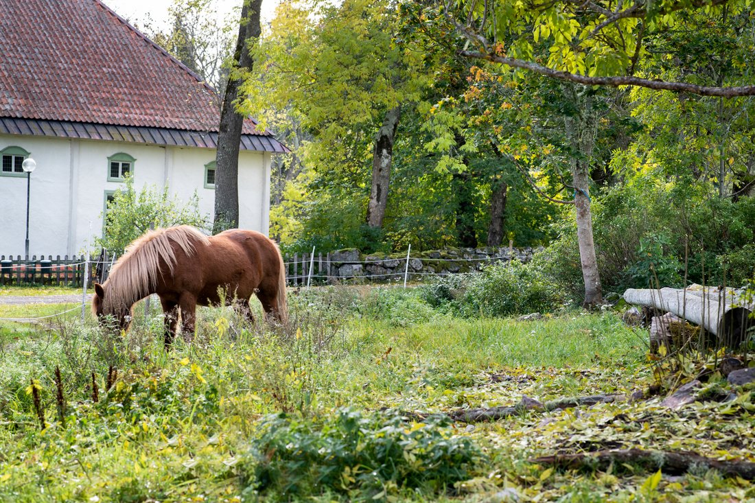 Estate in Harbo, Uppsala County, Sweden 4 - 15303697