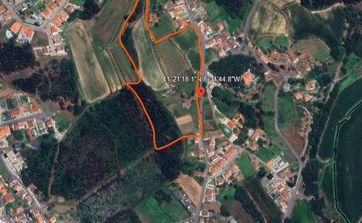 Azienda agricola a Lousado, Braga, Portogallo 1