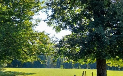 Castle for Sale in Chaumont, Grand Est, France