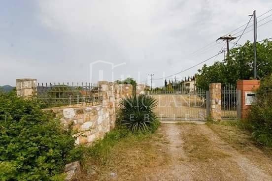 Apartment in Istiaia-Aidipsos, Thessaly and Central Greece, Greece 5 - 15306328