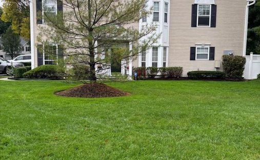 House in Manalapan Township, New Jersey, United States 1